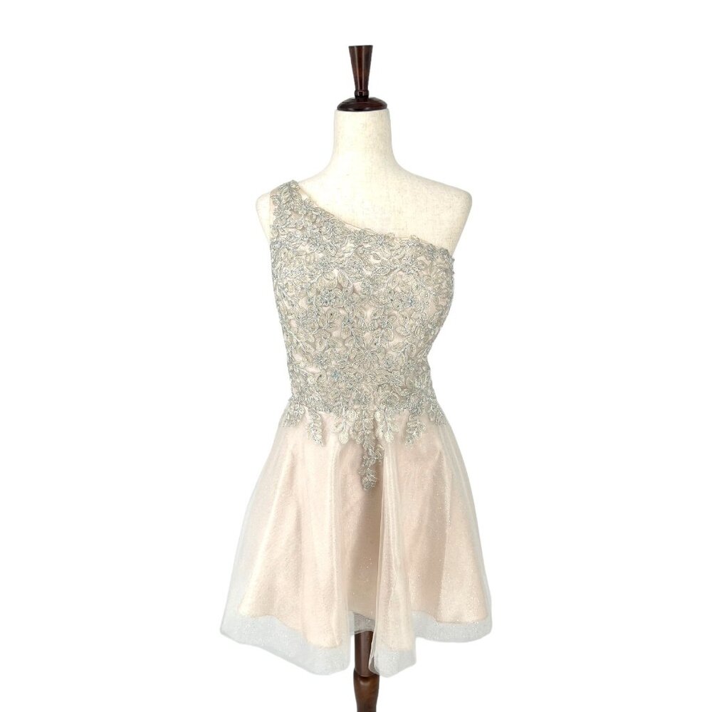 One-Shoulder Silver Lace & Blush Tulle Prom Dress
